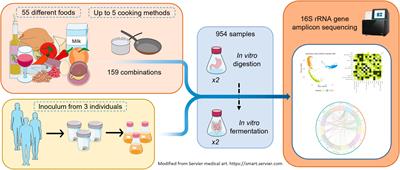 Effects of different foods and cooking methods on the gut microbiota: an in vitro approach